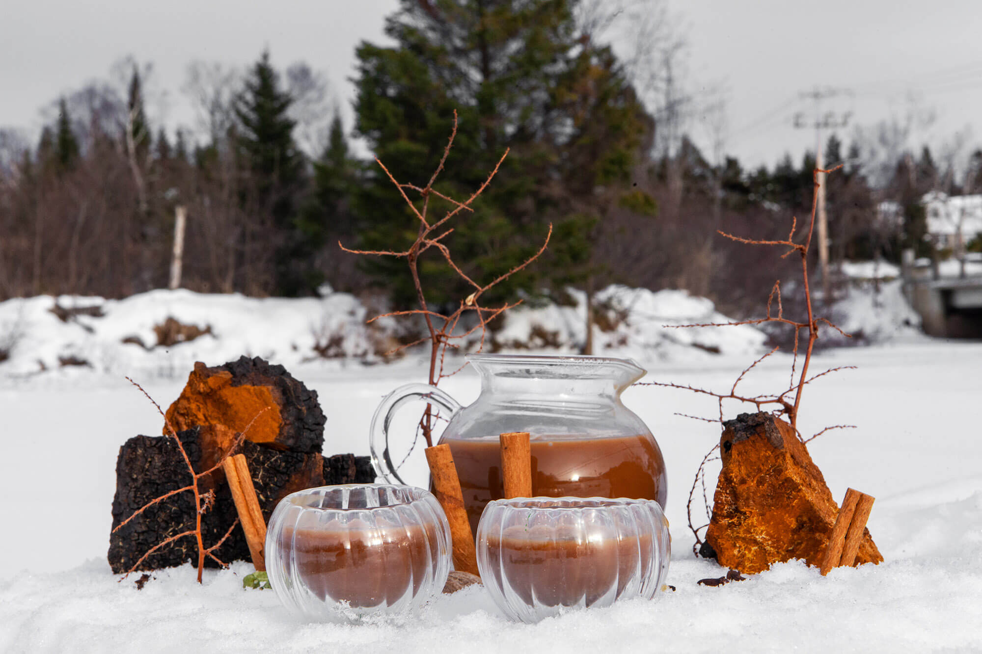The Perfect Winter Wellness Drink - ChagaLatte