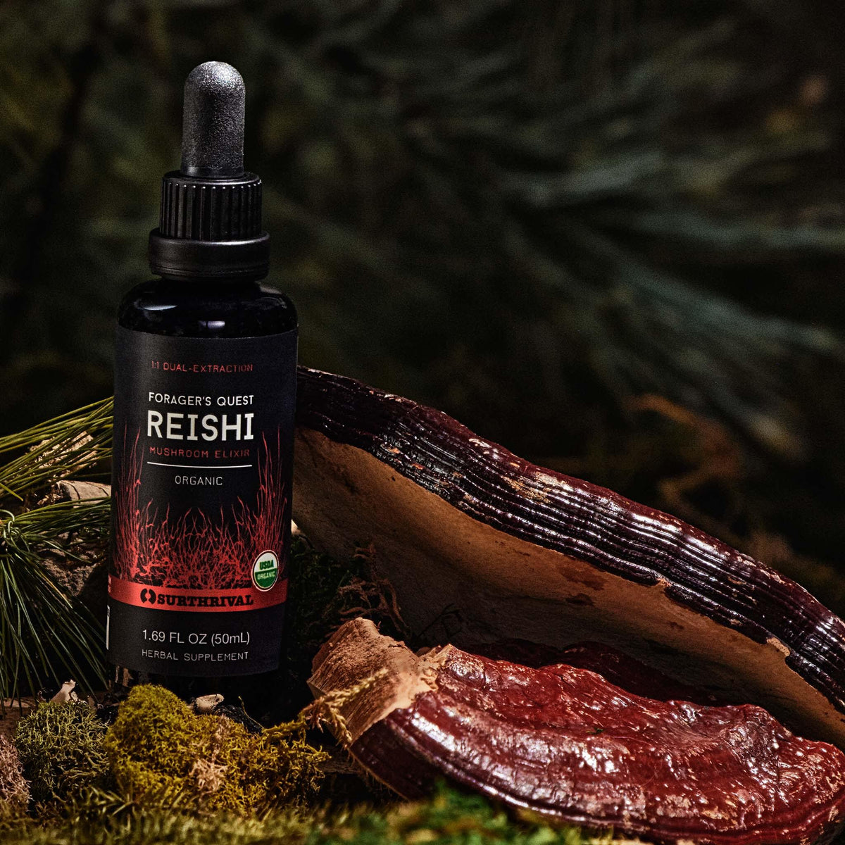 Reishi Extract - Forager&#39;s Quest