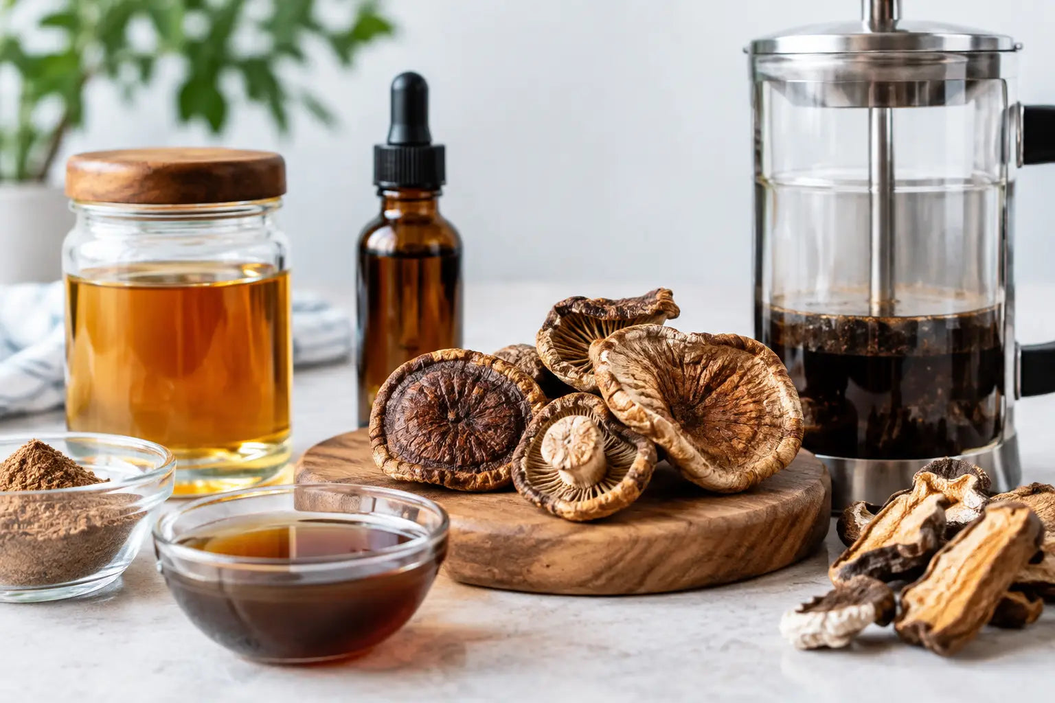 Mushroom Extraction Methods Guide for Potency