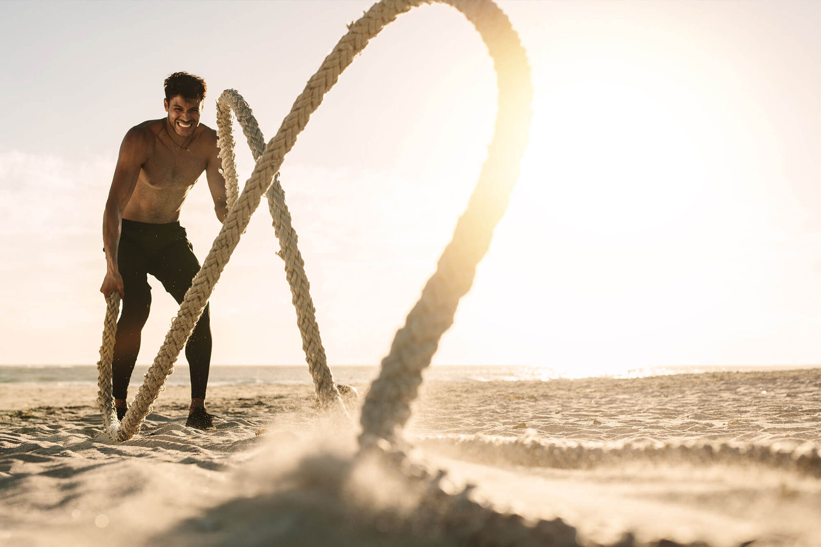 Unlocking the Power of IGF-1 in Elk Antler: An Introductory Guide