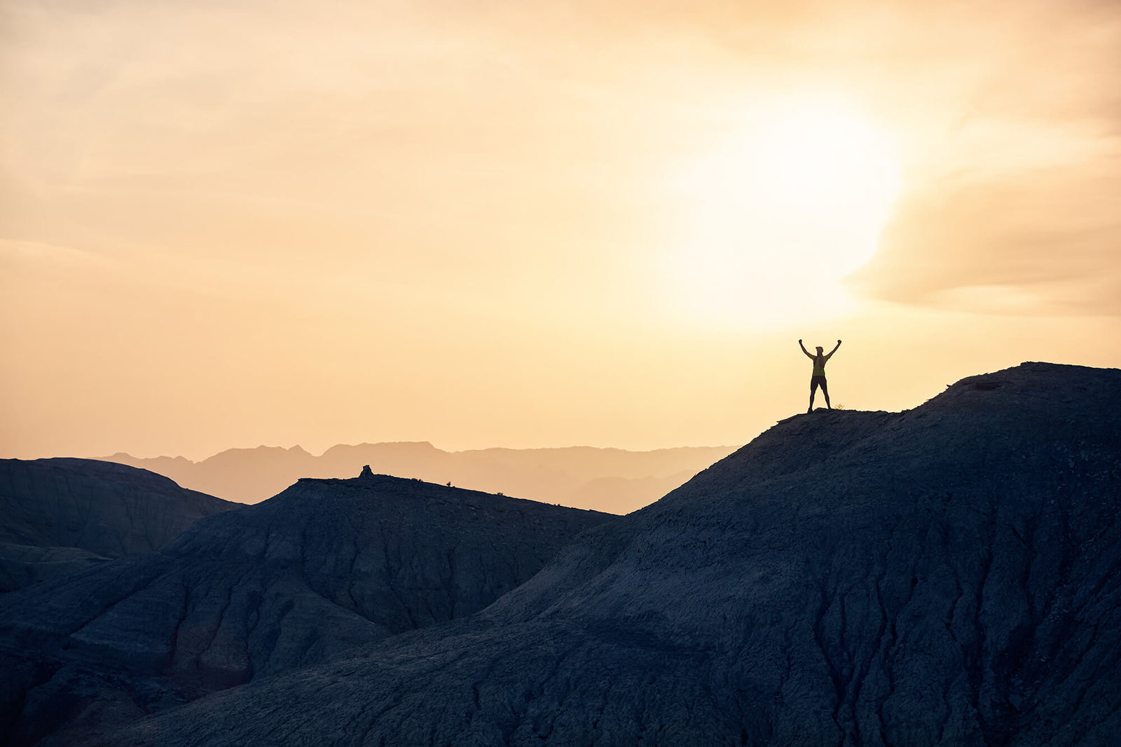 Vitamin D And Why Your Immune System Needs It. Our Top 3 Natural Immune Support Picks!