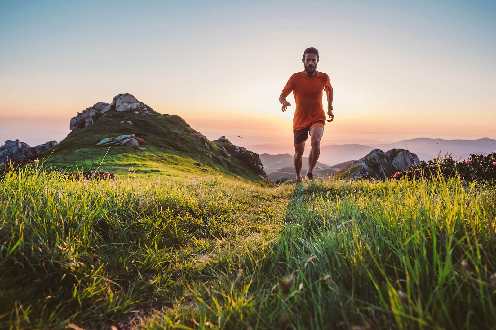 The Original Supplement of our Ancestors