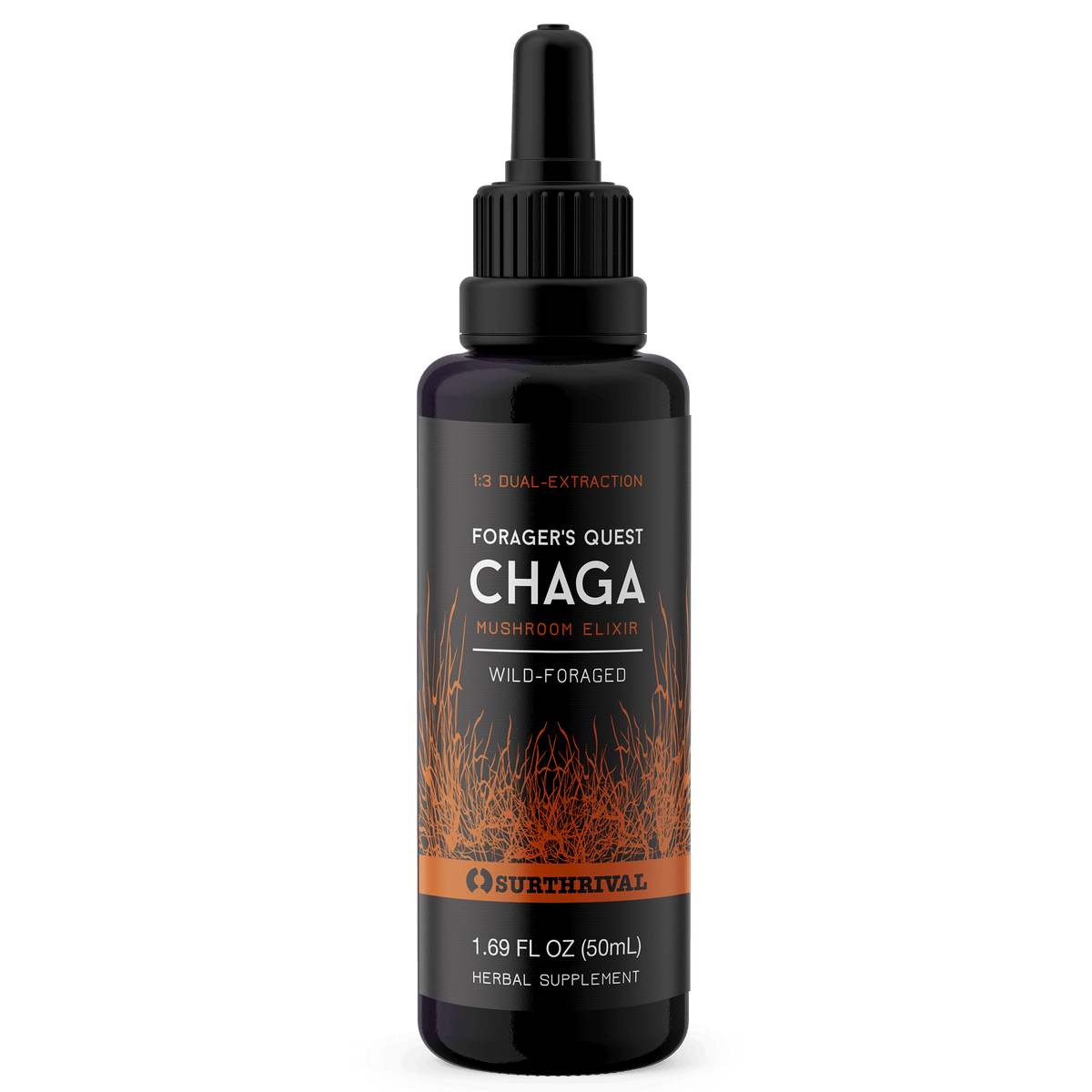 Chaga Extract - Forager&#39;s Quest