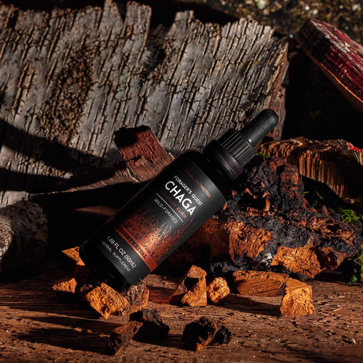 Chaga Extract - Forager&#39;s Quest