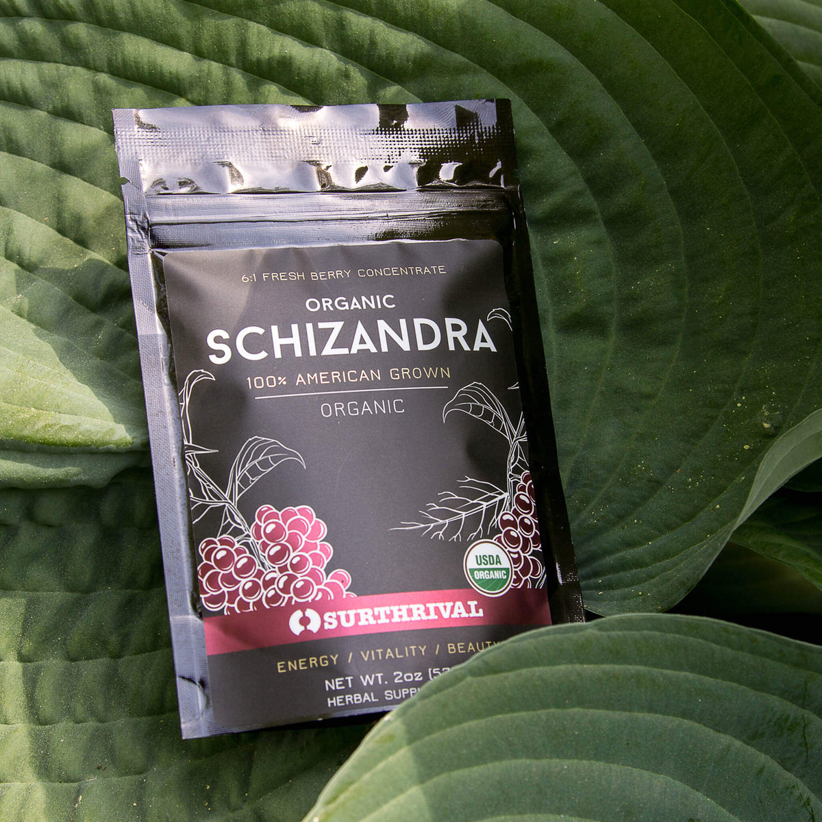 Schizandra Extract