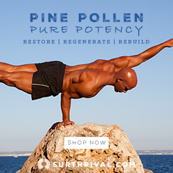 Pine Pollen Pure Potency 250 X 250 Balancing Man
